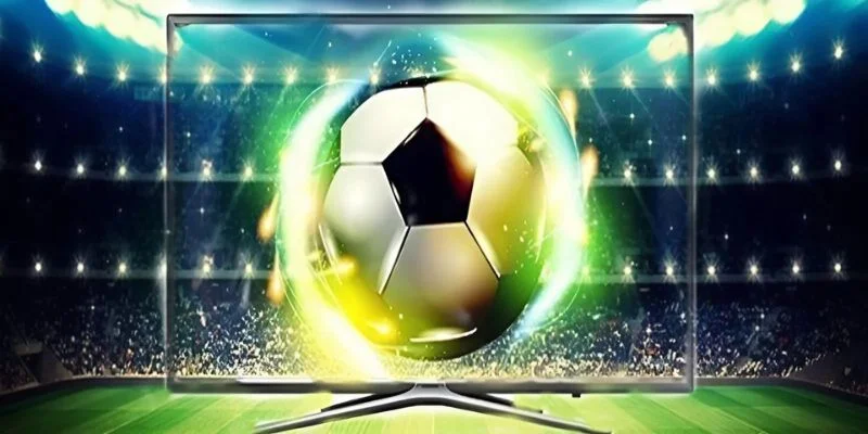 Quy Định Bản Quyền CakhiaTV - Những Chính Sách Cần Biết 2026 2 Trách nhiệm người dùng trong bản quyền của cakhiaz